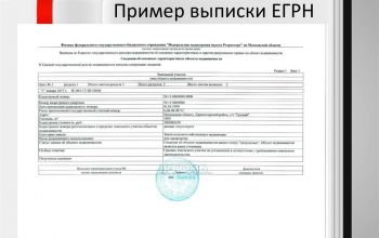 Выписка из единого государственного реестра недвижимости